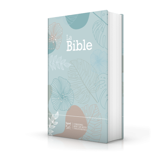 Bible Segond 21 compacte (Premium Style) - Couverture rigide, toilée et matelassée, vert d'eau