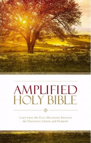 Anglais, Bible amplified - couverture rigide