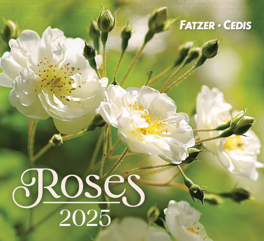 Calendrier Roses - petit format