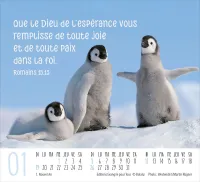 Calendrier Rencontres - mini de table