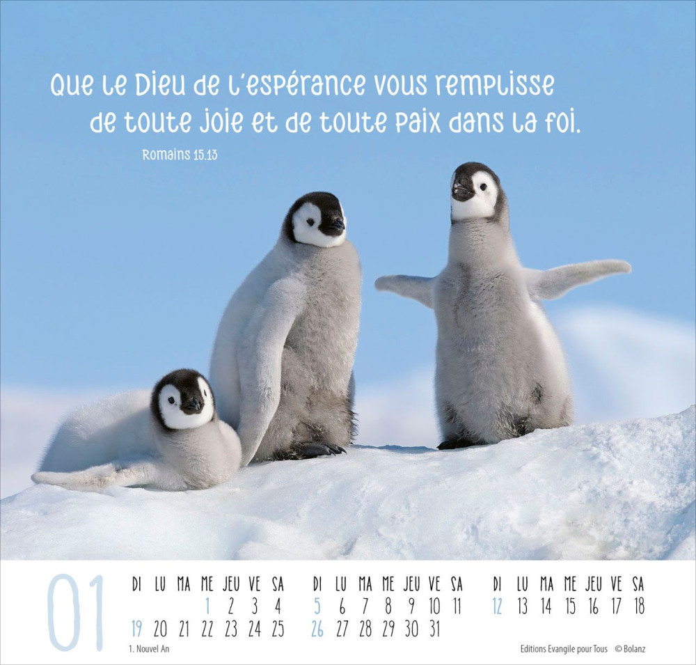 Calendrier Meilleurs amis - grand format