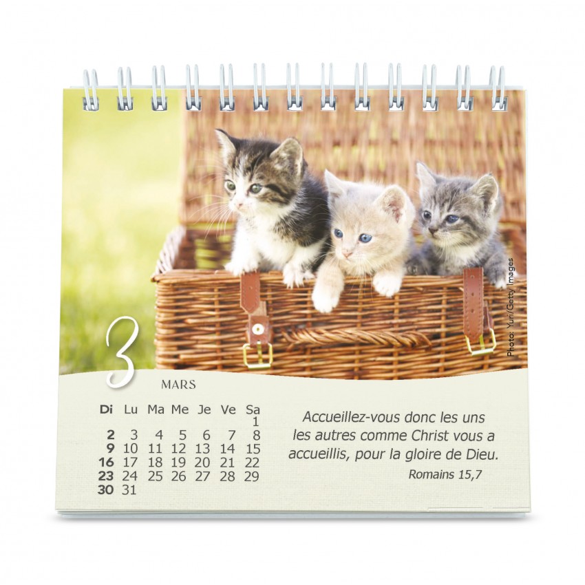 Calendrier Nos amis les chats - petit format