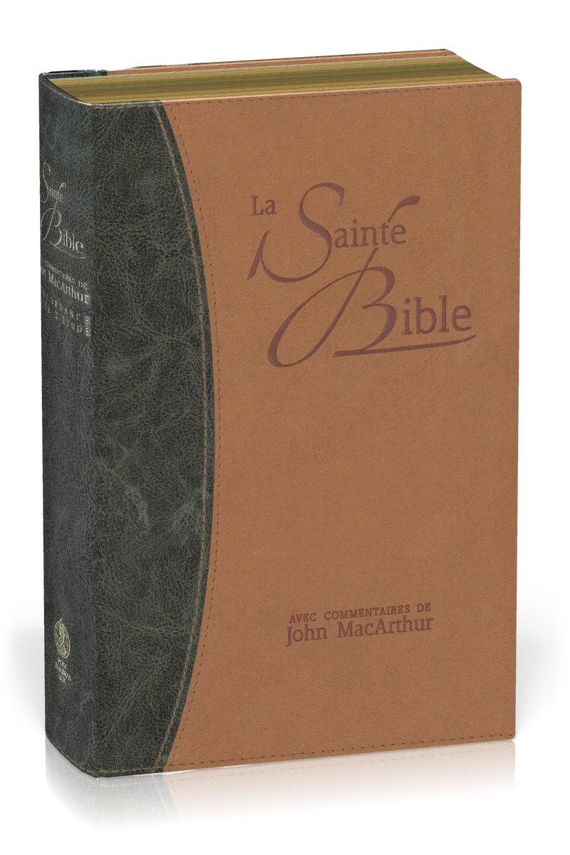 Bible NEG Macarthur souple similicuir, tr. or duo bleu et beige