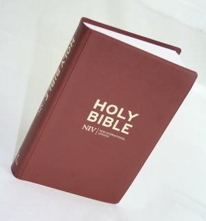 ANGLAIS, BIBLE NIV COMPACT