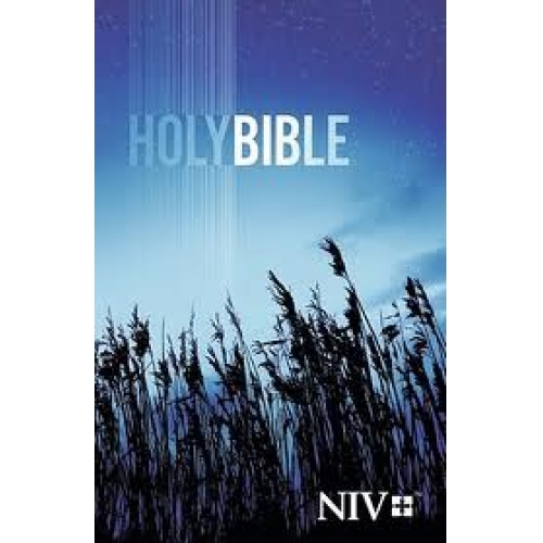 BIBLE ANGL. NIV BROCHEE ILLUSTR. - GOD'S WORD