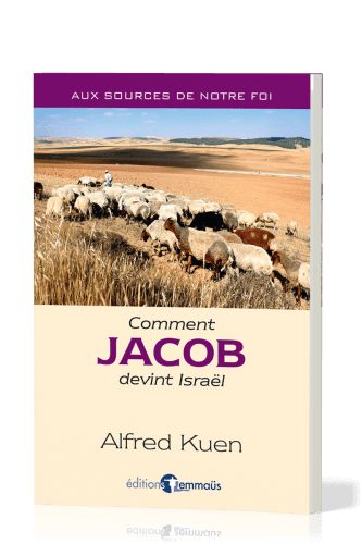 COMMENT JACOB DEVINT ISRAEL