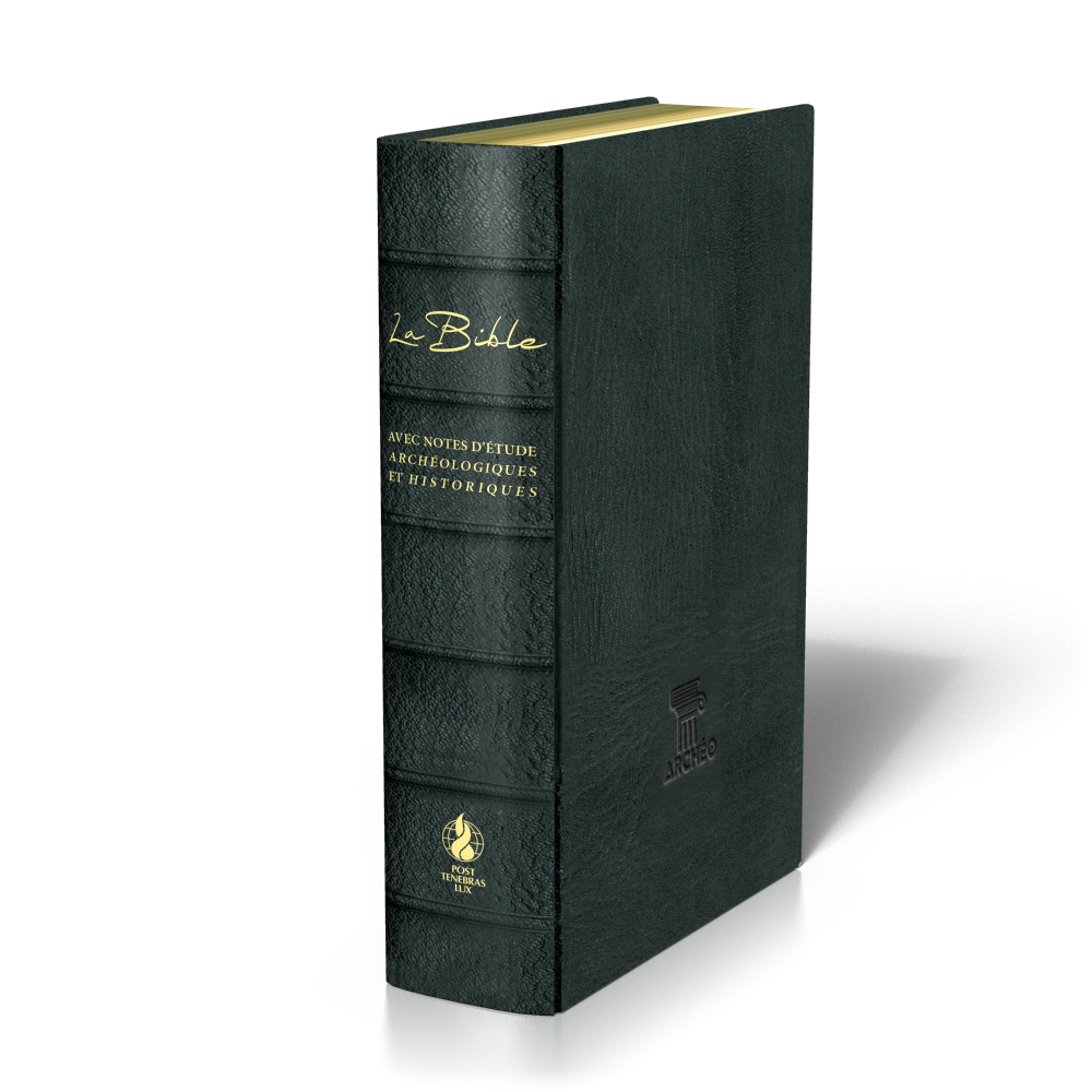 Bible Segond 21 archéologique - couverture cuir véritable noir