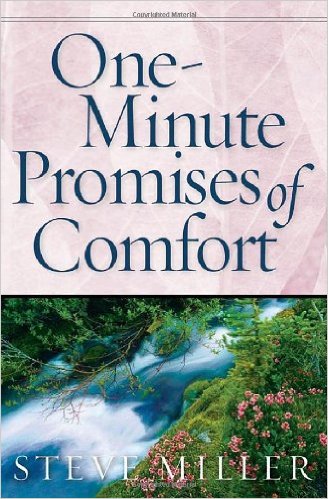 ONE MINUTE PROMISES OF COMFORT