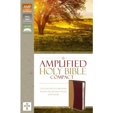 Anglais, Amplified Bible compact