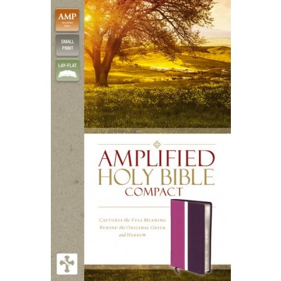 ANGLAIS, BIBLE AMPLIFIED COMPACT