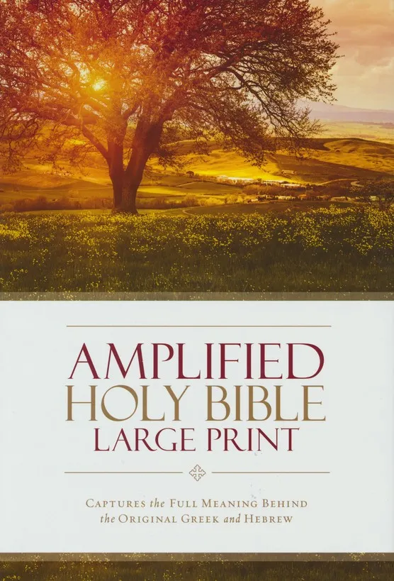 Amplified Bible - Large print