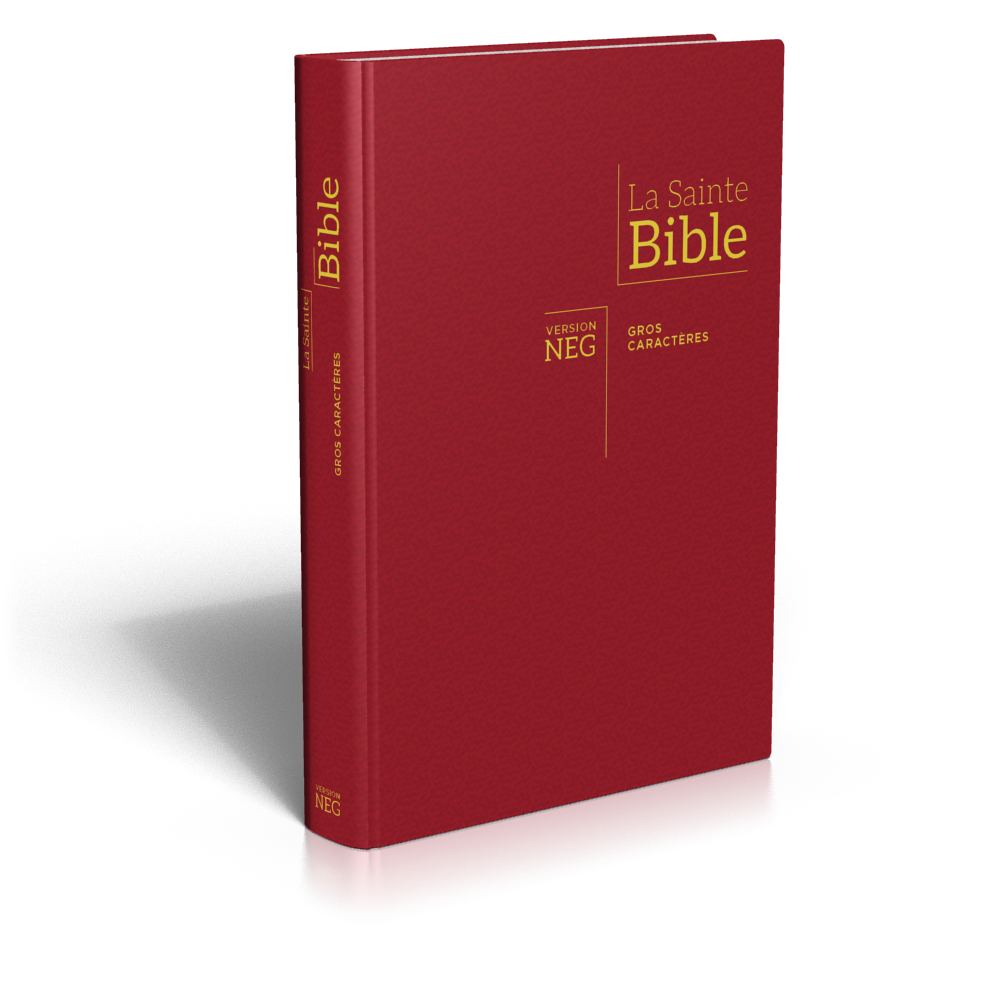 Bible NEG gros caractères couverture rigide bordeaux
