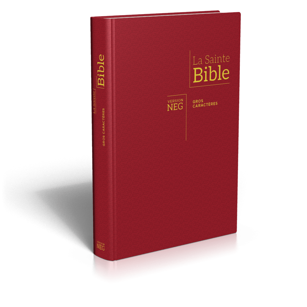 Bible NEG gros caractères couverture rigide bordeaux
