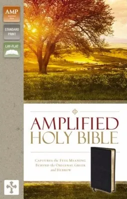 ANGLAIS, BIBLE AMPLIFIED