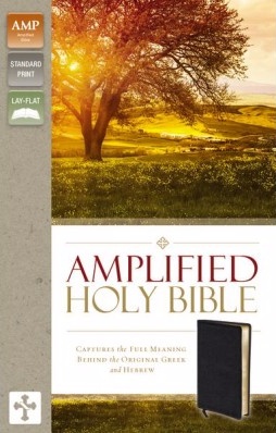 ANGLAIS, BIBLE AMPLIFIED