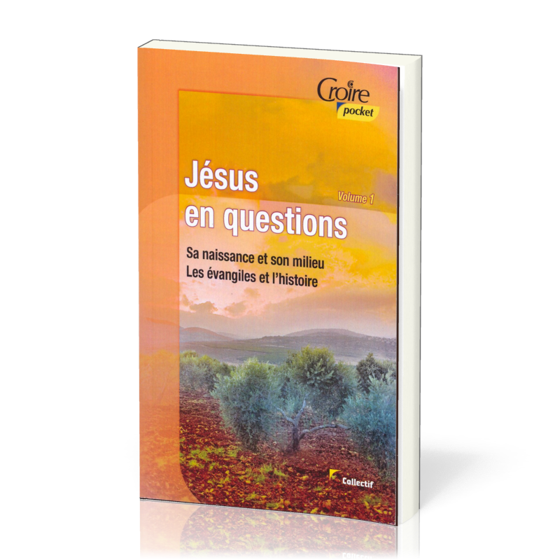 Jésus en question - Sa naissance, son milieu, les Evangiles et l'histoire - Volume 1