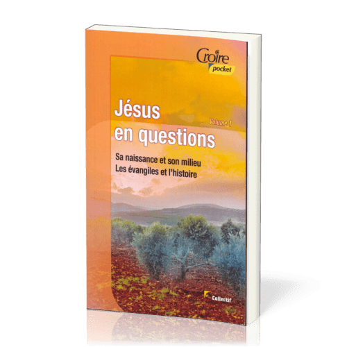 Jésus en question - Sa naissance, son milieu, les Evangiles et l'histoire - Volume 1