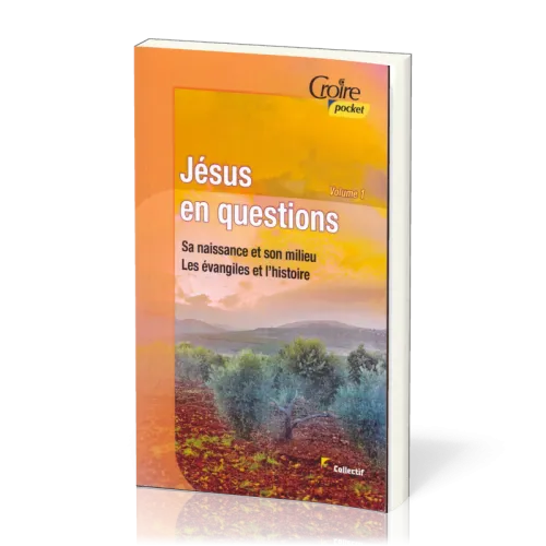 Jésus en question - Sa naissance, son milieu, les Evangiles et l'histoire - Volume 1