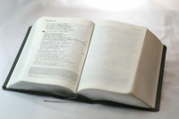 Bible Colombe interfoliée similicuir gris avec étui