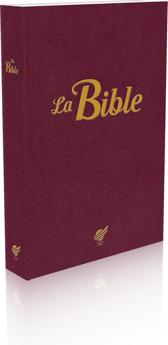 Bible Segond 1910 souple grenat compact