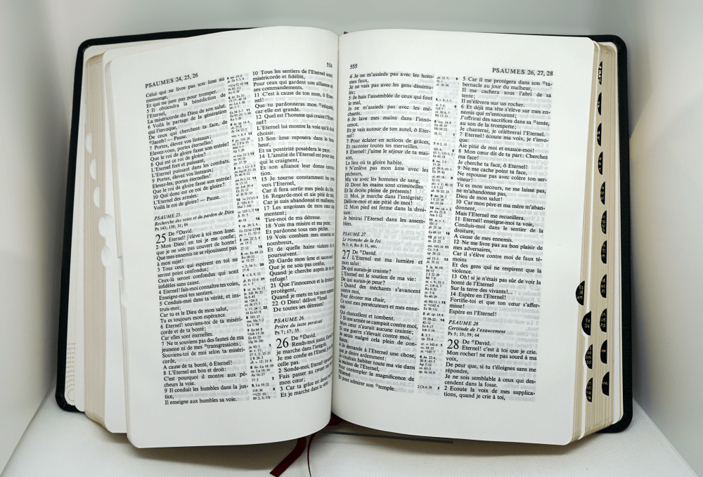 Bible d'étude NEG à parallèles, noire - Souple, cuir véritable, tranche or, onglets