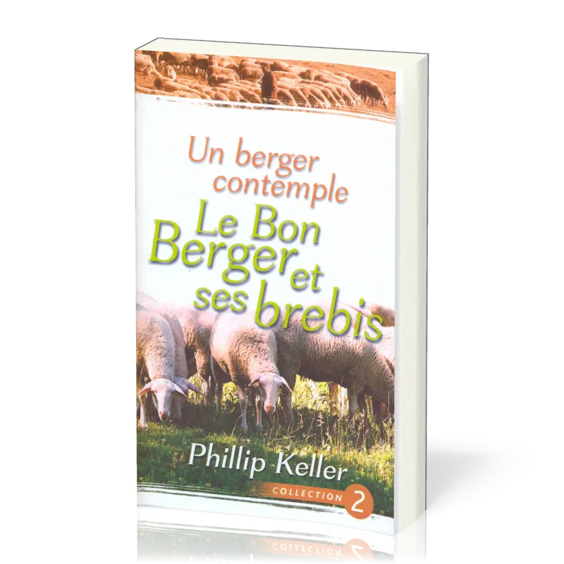 Un berger contemple le Bon Berger et ses brebis