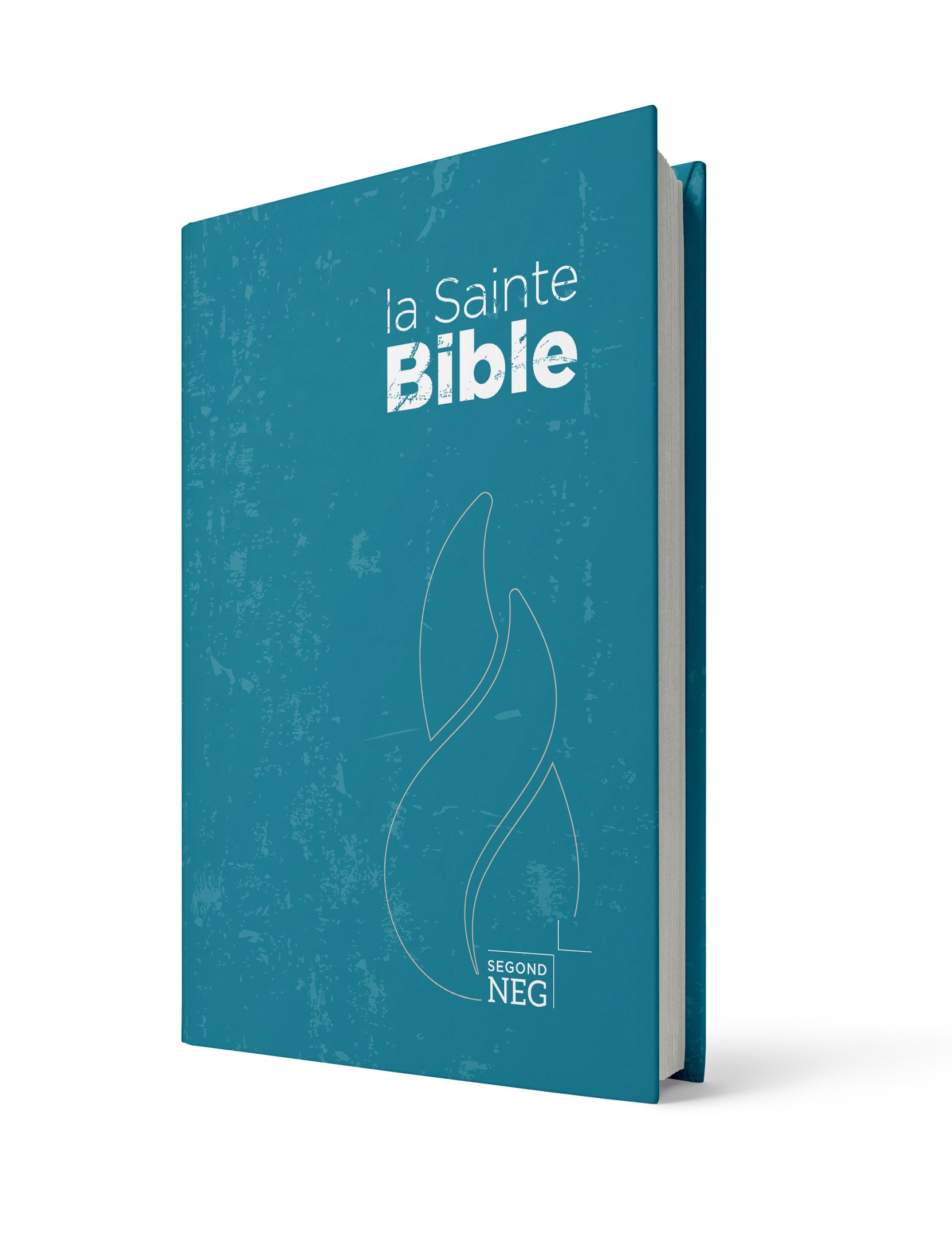 Bible NEG compact rigide bleue