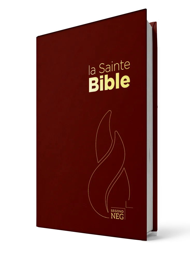 Bible NEG - compact rigide grenat