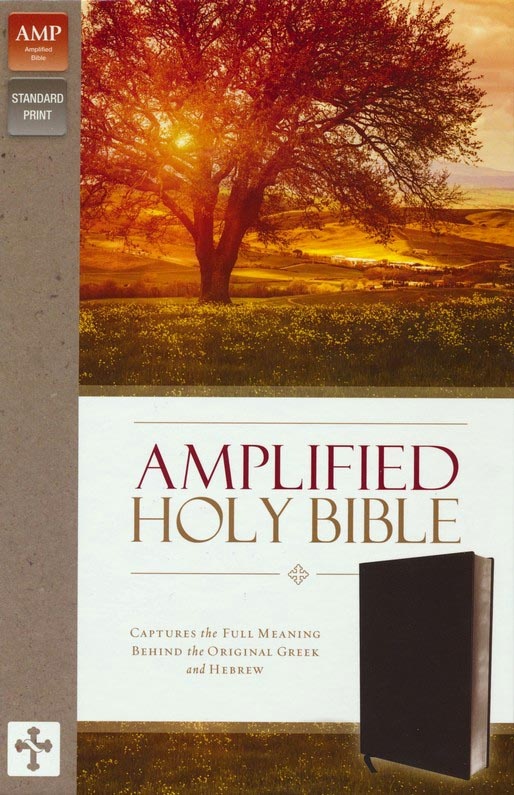 Anglais, Bible amplified - Amplified thinline Holy Bible