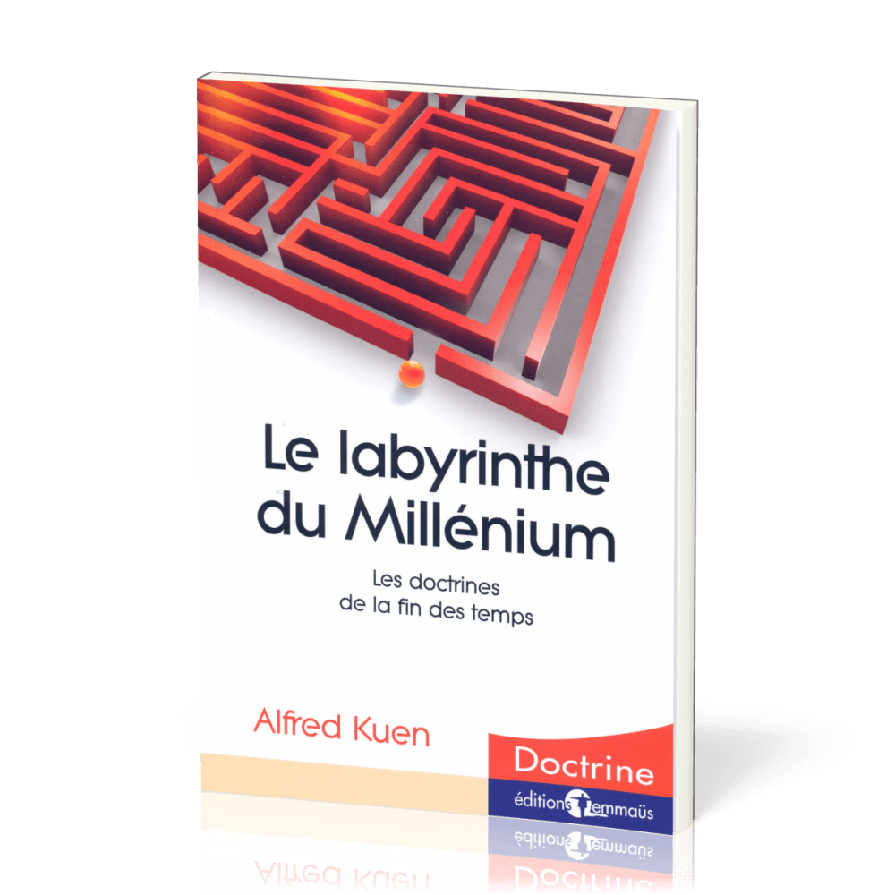Labyrinthe du millénium (Le)