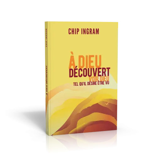 A Dieu découvert - Voir Dieu tel qu'il désire être vu