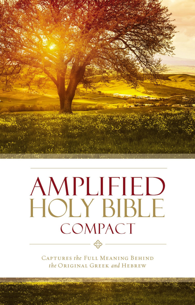 Anglais, Bible amplified - Compact