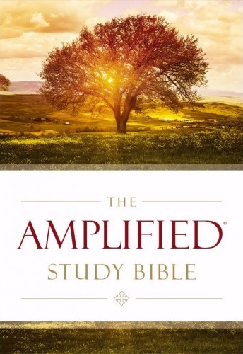Anglais, Bible amplified - Study Bible - Hardcover