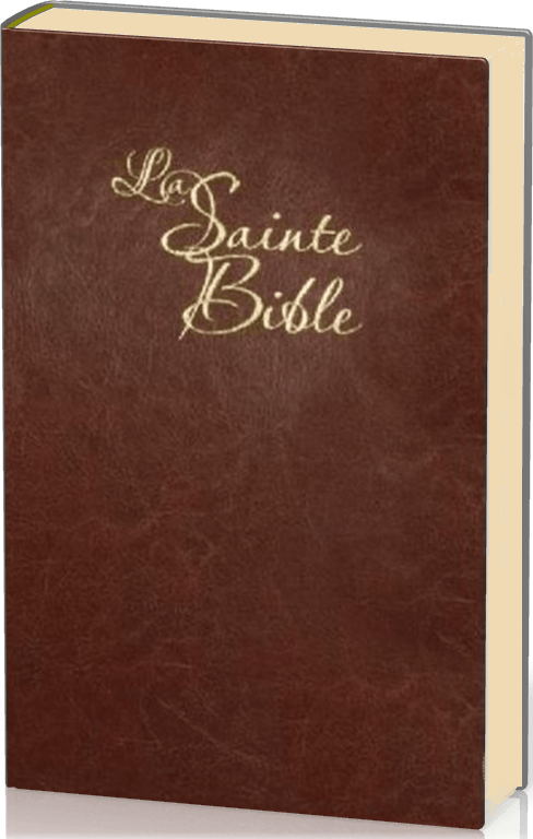 Bible segond 1910, gros caractères - Similicuir marron