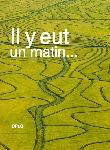 Il y eut un matin... A l'aube de l'humain