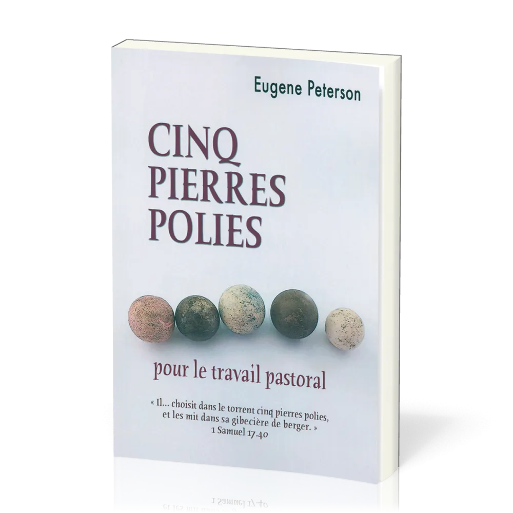 Cinq pierres polies pour le travail pastoral