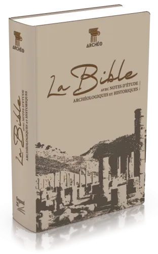 Bible Segond 21 archéologique - couverture souple toile couleur café dorure bronze